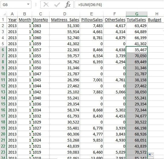 Select Cell G6 and hover the cursor over the Data Fill box (your cursor will turn into a plus sign). Double-click the Data Fill box.