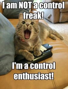 i am not a control freak im a control enthusiast
